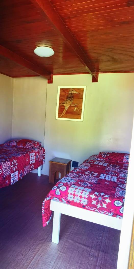 Moonsong Accommodation & Camping プレッテンバーグ・ベイ エクステリア 写真